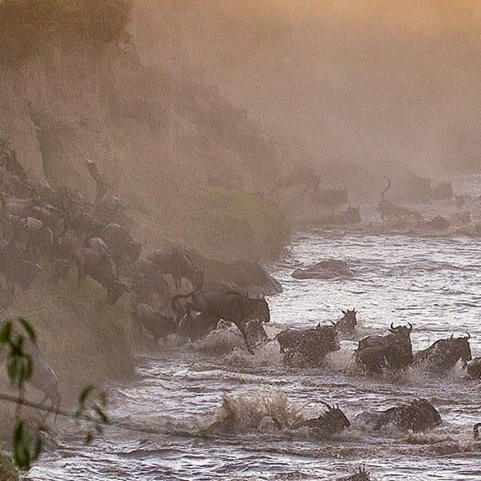 Great Migration